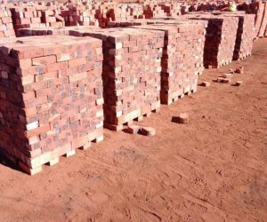 311327656_3677491212477463_5332922404968018172_n